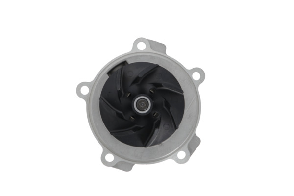 Water Pump - 529516 VALEO