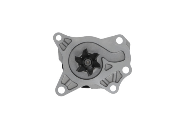 Water Pump - 529521 VALEO