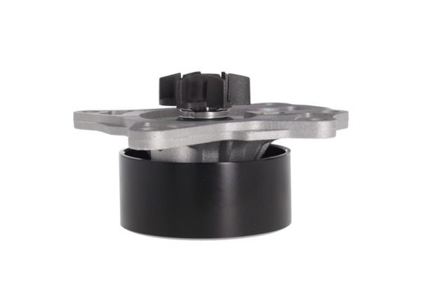 Water Pump - 529521 VALEO