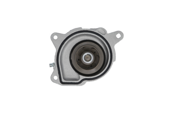 Water Pump - 529529 VALEO