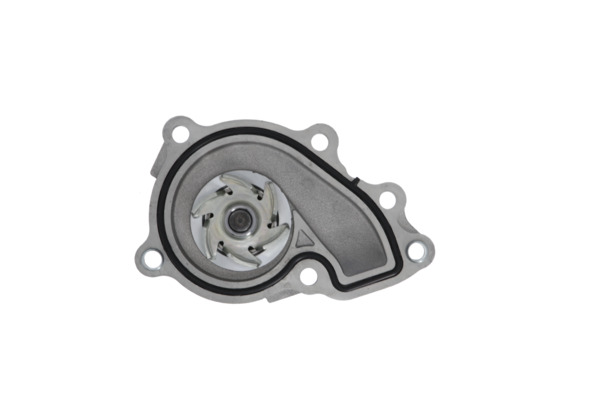 Water Pump - 529532 VALEO
