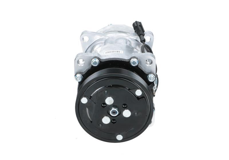 Compressor, air conditioning - 090.225.013.876 BV PSH