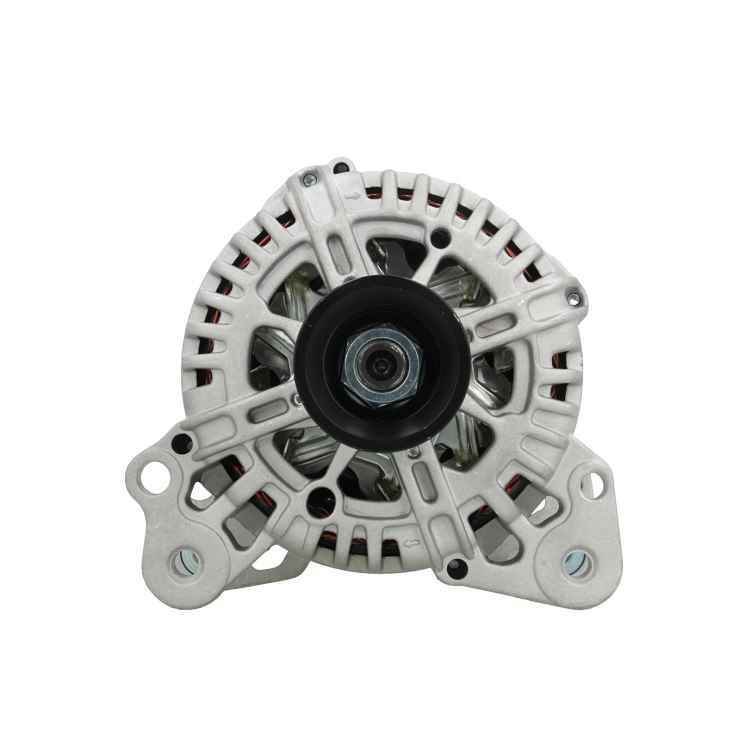 Alternator - 305.519.110.004 BV PSH