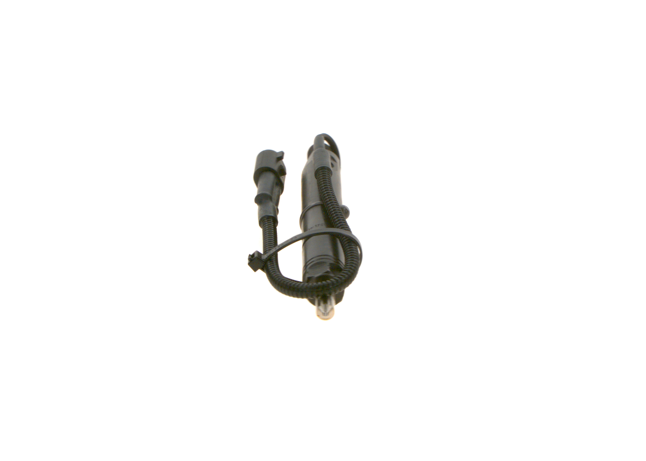 Nozzle and Holder Assembly - 0 432 131 734 BOSCH
