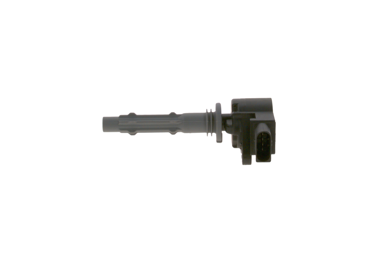 ritė, uždegimas - 0 986 221 058 BOSCH
