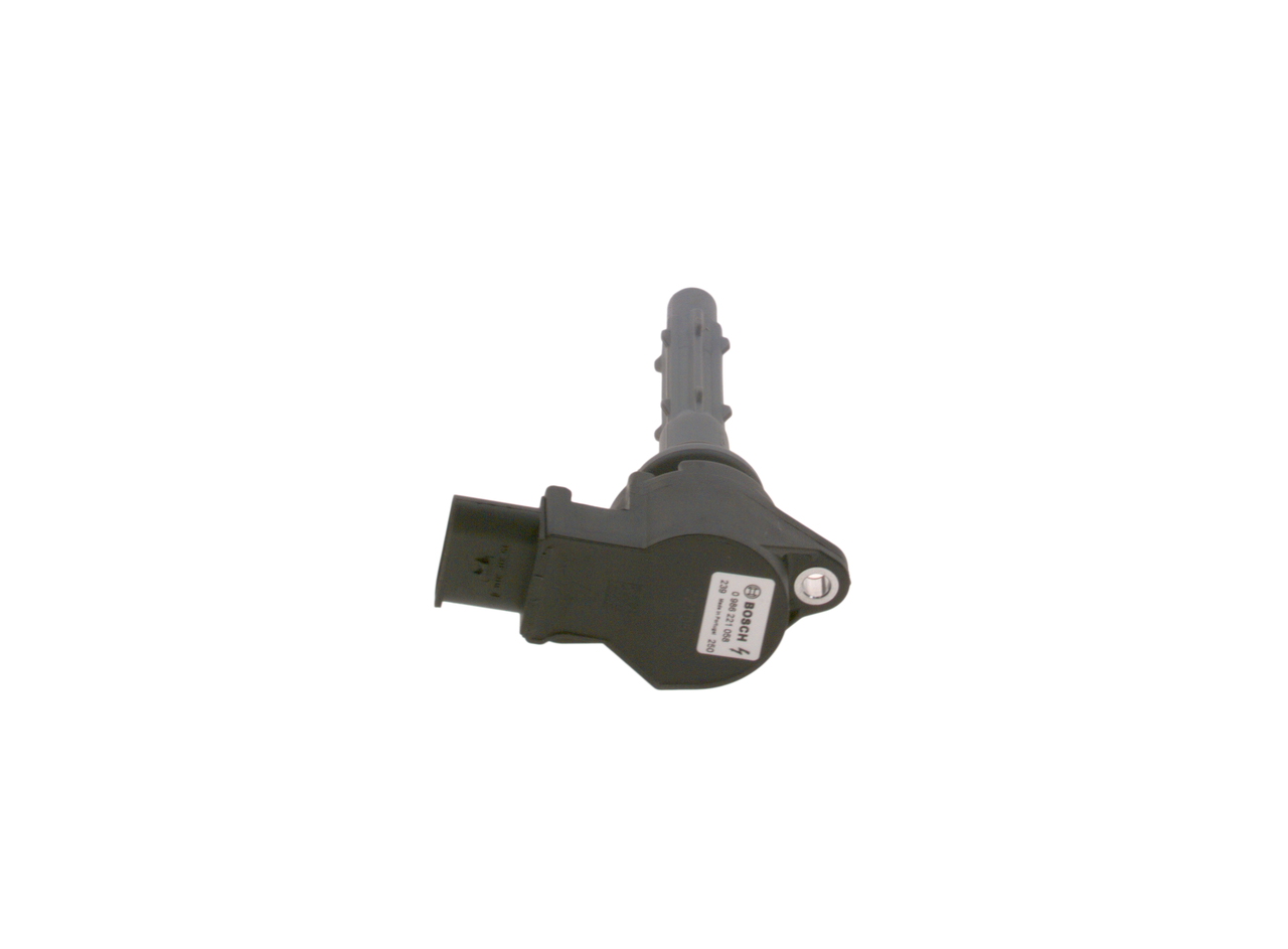 ritė, uždegimas - 0 986 221 058 BOSCH