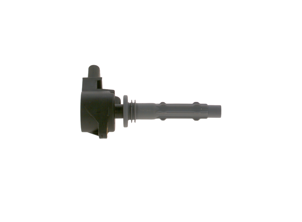 ritė, uždegimas - 0 986 221 058 BOSCH