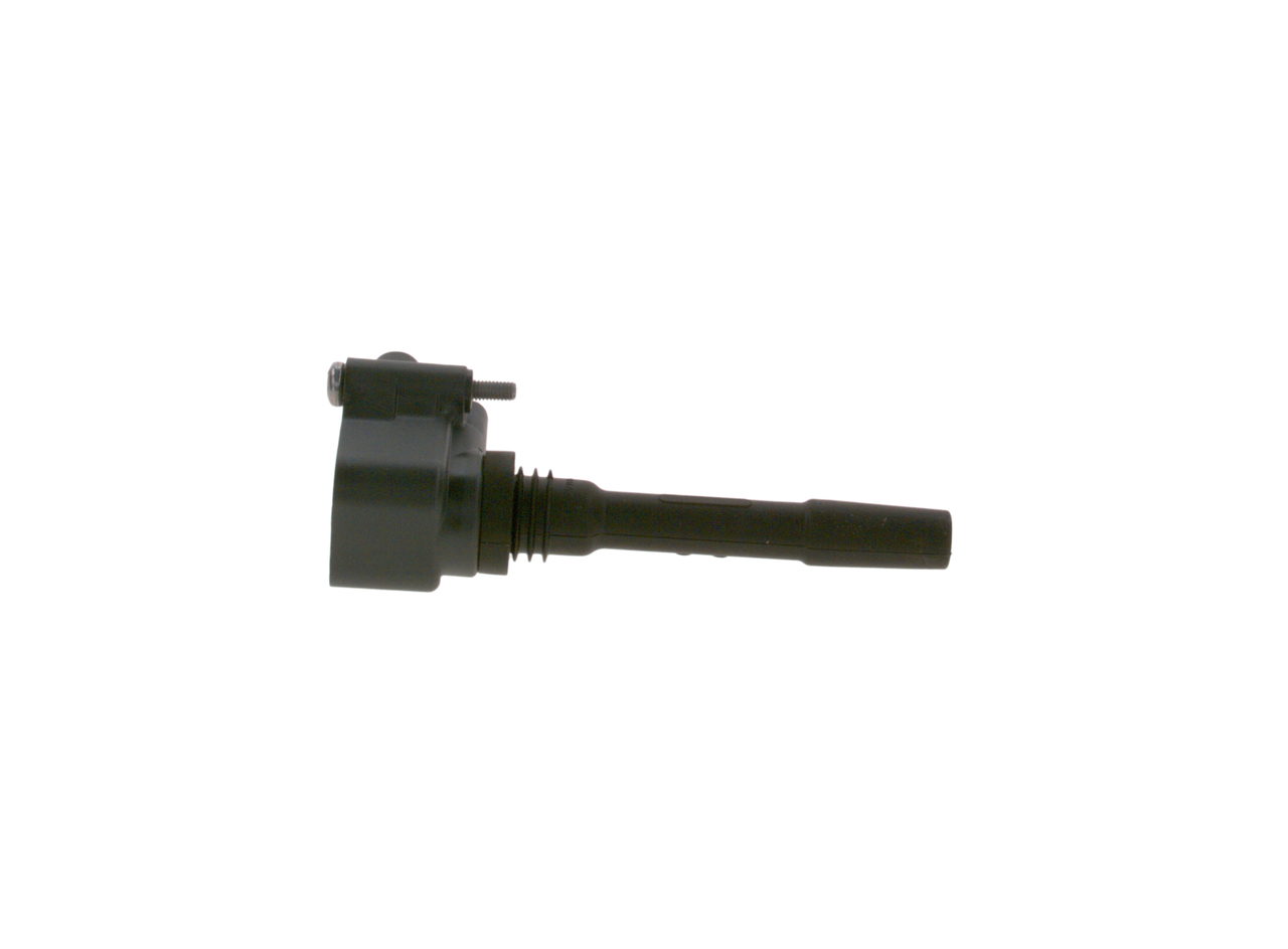 ritė, uždegimas - 0 986 221 120 BOSCH