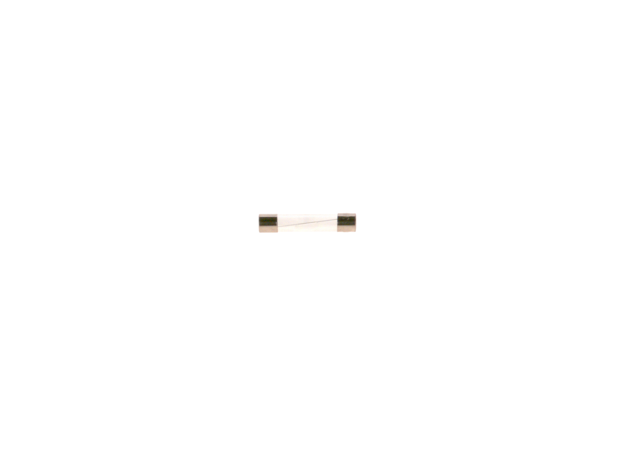 Fuse - 1 987 529 903 BOSCH