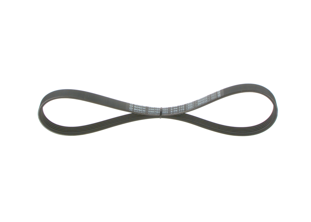 Cinghia Poly-V - 1 987 946 021 BOSCH