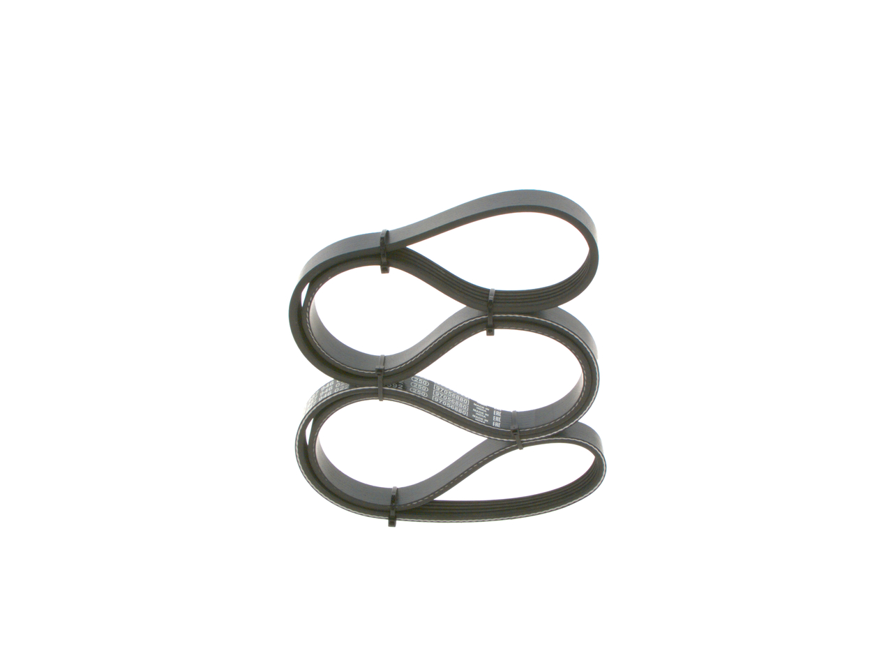 Cinghia Poly-V - 1 987 946 022 BOSCH