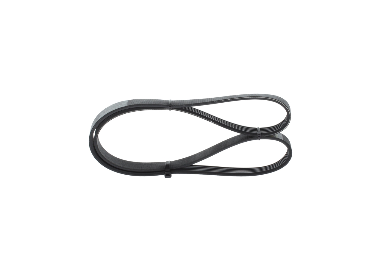 V-Ribbed Belt - 1 987 946 069 BOSCH