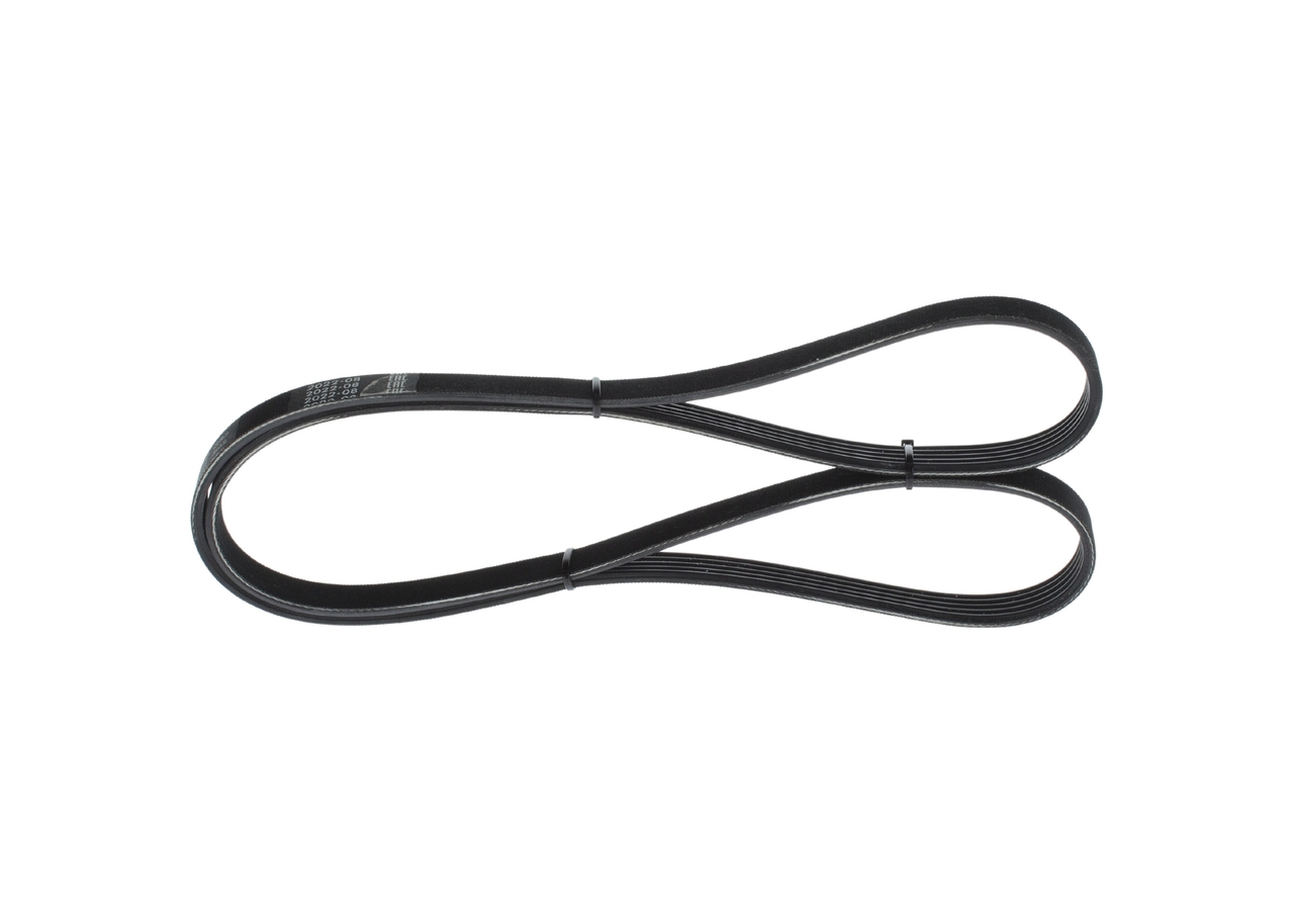 Cinghia Poly-V - 1 987 946 085 BOSCH