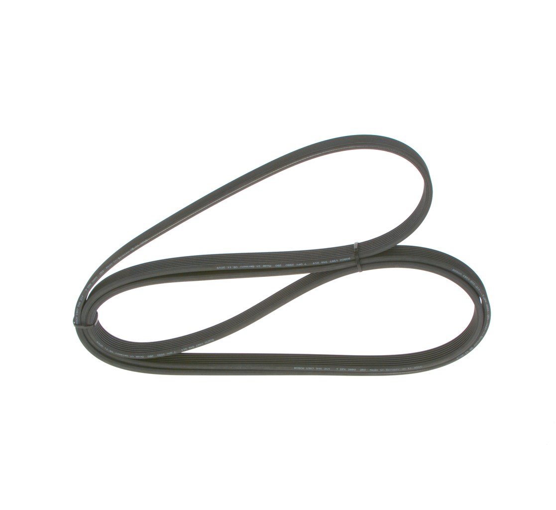 V-Ribbed Belt - 1 987 946 214 BOSCH