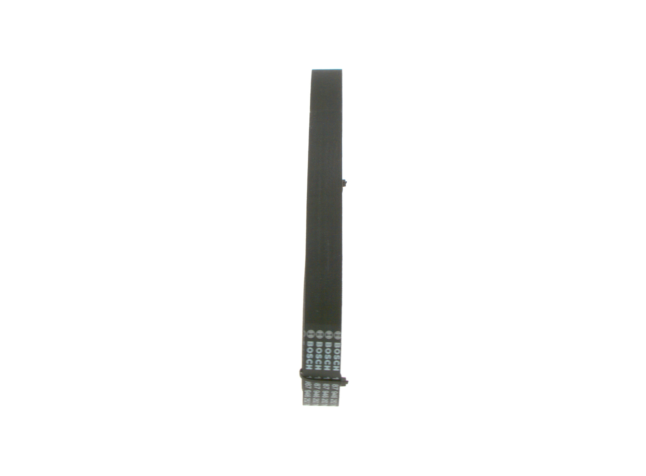 Cinghia Poly-V - 1 987 946 252 BOSCH