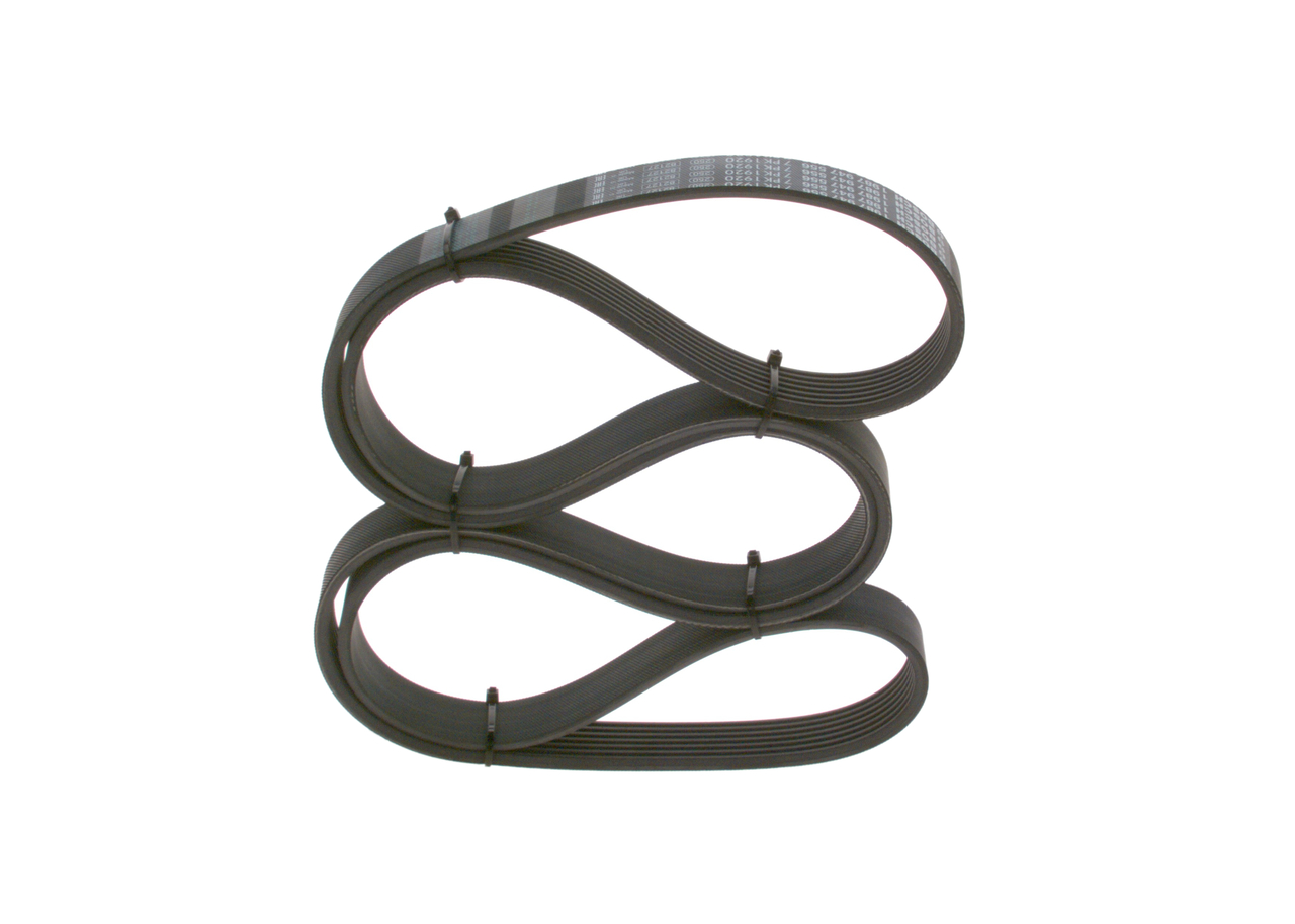 V-Ribbed Belt - 1 987 947 556 BOSCH