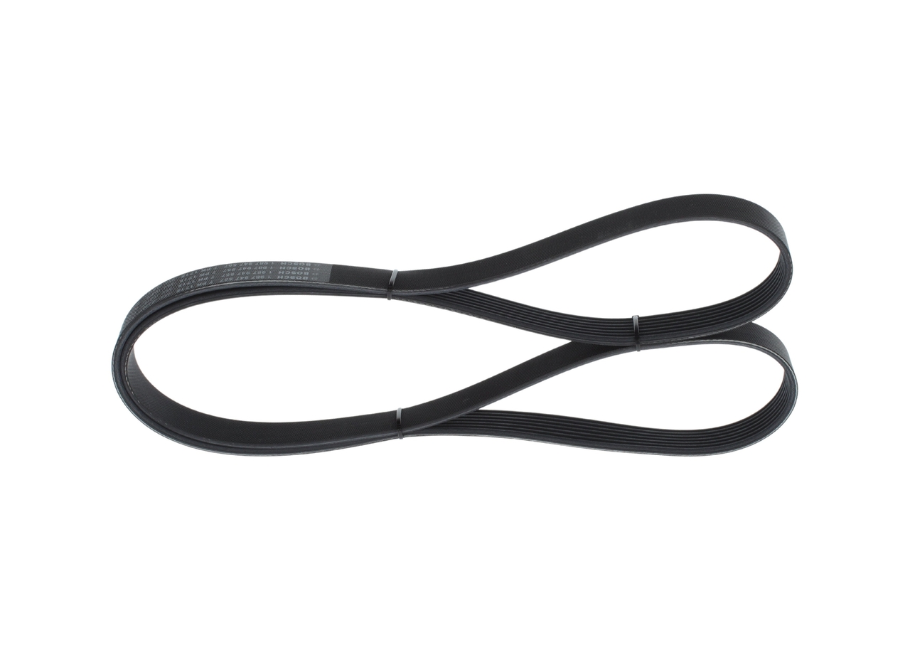 Cinghia Poly-V - 1 987 947 557 BOSCH