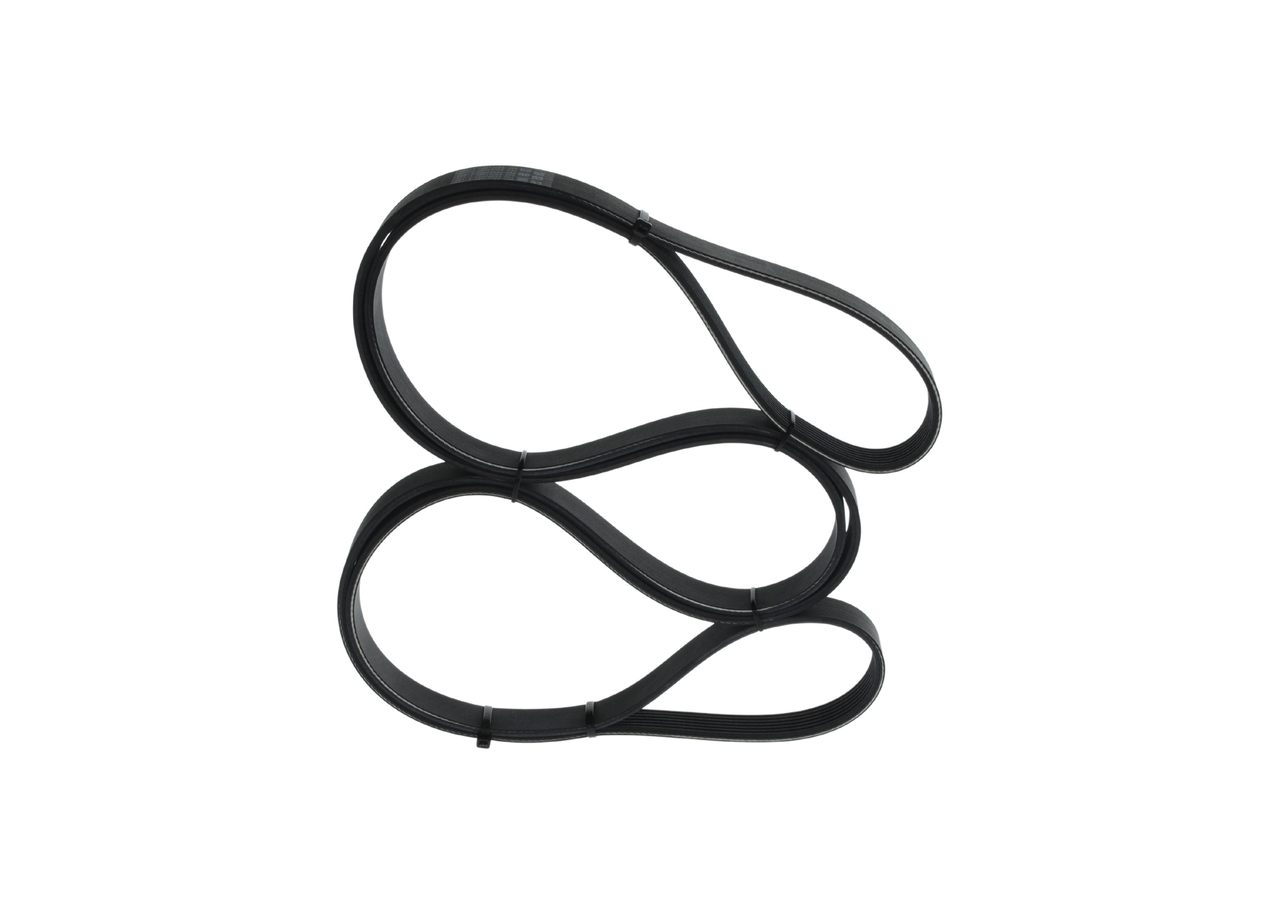 Cinghia Poly-V - 1 987 947 558 BOSCH