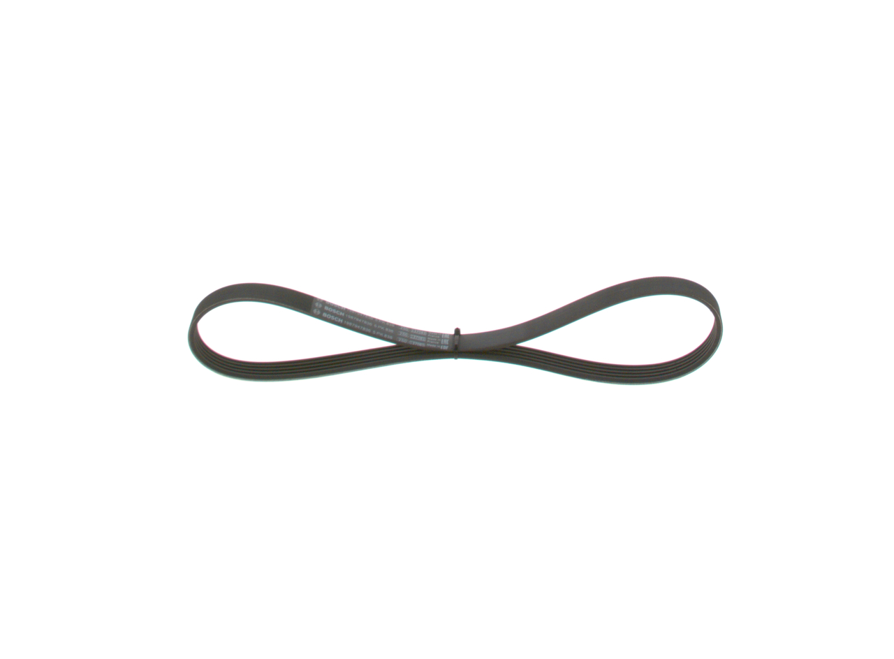 Cinghia Poly-V - 1 987 947 836 BOSCH