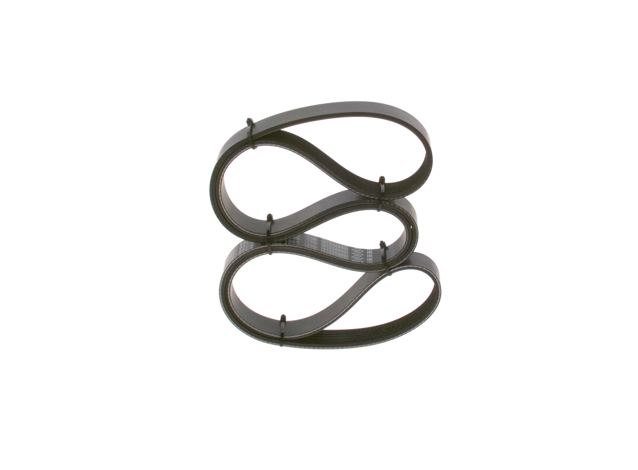 V-Ribbed Belt - 1 987 947 950 BOSCH