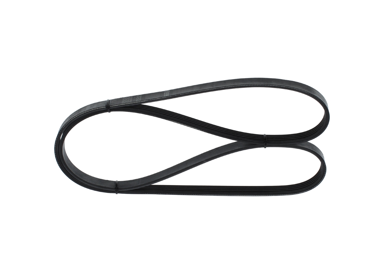 Cinghia Poly-V - 1 987 948 480 BOSCH