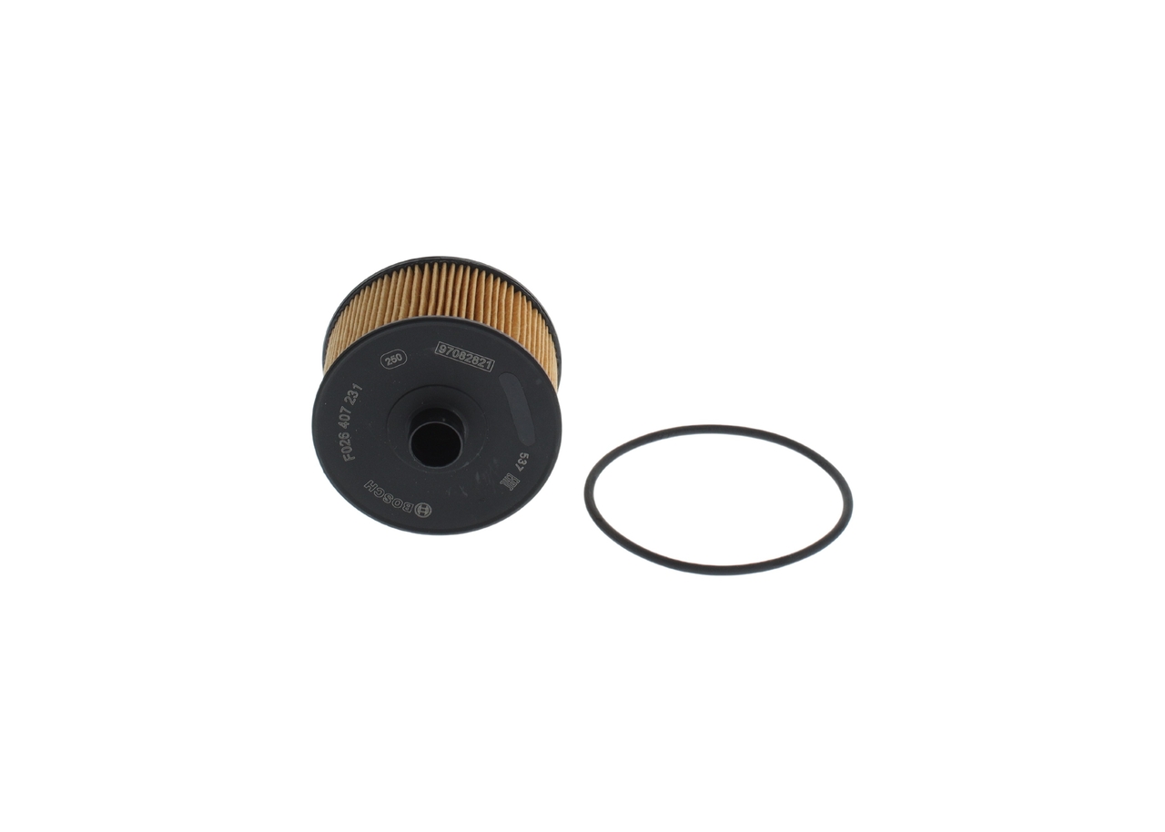 Filtro olio - F 026 407 231 BOSCH