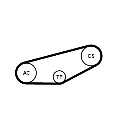 Kit Cinghie Poly-V - 4PK855K1 CONTINENTAL CTAM