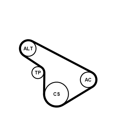 Kit Cinghie Poly-V - 5PK1212K1 CONTINENTAL CTAM