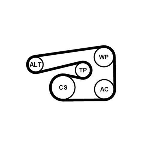 V-Ribbed Belt Set - 5PK1546K1 CONTINENTAL CTAM