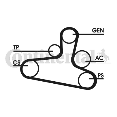 Kit Cinghie Poly-V - 6DPK1195D2 CONTINENTAL CTAM