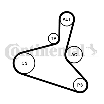 Kit Cinghie Poly-V - 6DPK1195K2 CONTINENTAL CTAM