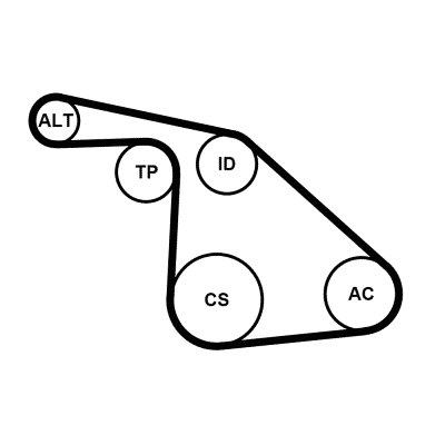 Kit Cinghie Poly-V - 6PK1038K1 CONTINENTAL CTAM