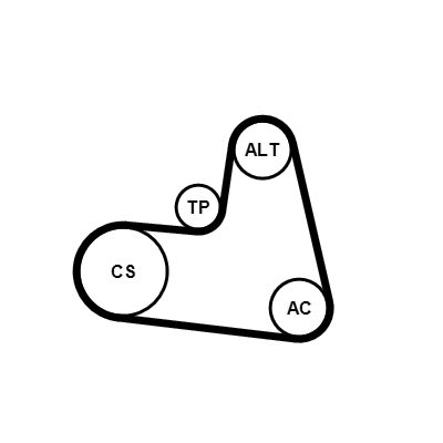 Kit Cinghie Poly-V - 6PK1217K1 CONTINENTAL CTAM