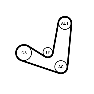 Kit Cinghie Poly-V - 6PK1244K2 CONTINENTAL CTAM