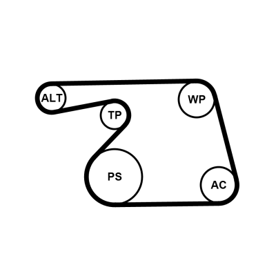 Pompa acqua + Kit cinghia Poly V - 6PK1318WP1 CONTINENTAL CTAM