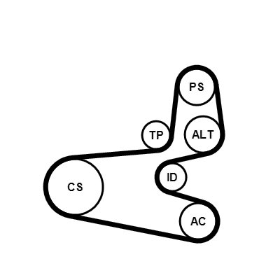 Kit Cinghie Poly-V - 6PK1560K1 CONTINENTAL CTAM