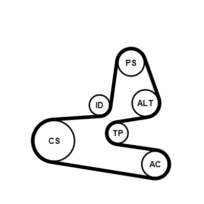 Kit Cinghie Poly-V - 6PK1564K1 CONTINENTAL CTAM