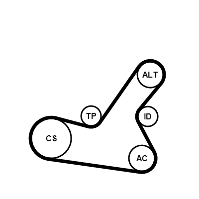 Kit Cinghie Poly-V - 6PK1564K2 CONTINENTAL CTAM