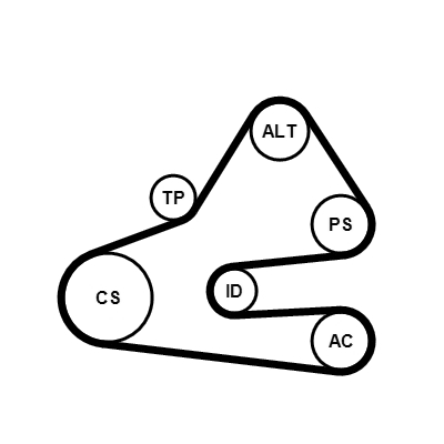 Kit Cinghie Poly-V - 6PK1613K1 CONTINENTAL CTAM