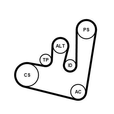 Kit Cinghie Poly-V - 6PK1660K1 CONTINENTAL CTAM