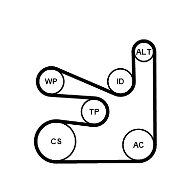 Kit Cinghie Poly-V - 6PK1660K5 CONTINENTAL CTAM