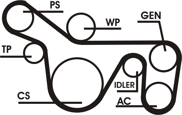 Kit Cinghie Poly-V - 6PK1720D1 CONTINENTAL CTAM
