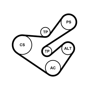 Kit Cinghie Poly-V - 6PK1733K5 CONTINENTAL CTAM