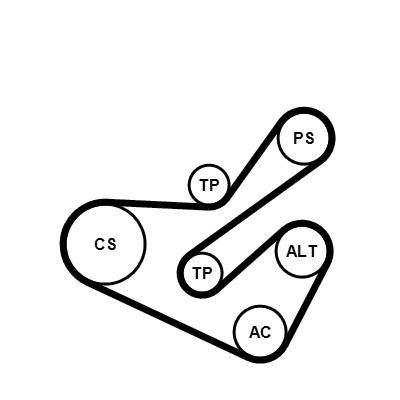 Kit Cinghie Poly-V - 6PK1740K1 CONTINENTAL CTAM