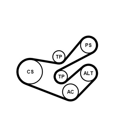 Kit Cinghie Poly-V - 6PK1750K3 CONTINENTAL CTAM
