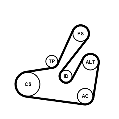 Kit Cinghie Poly-V - 6PK1795K2 CONTINENTAL CTAM