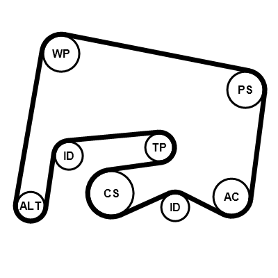 Kit Cinghie Poly-V - 6PK2155K1 CONTINENTAL CTAM