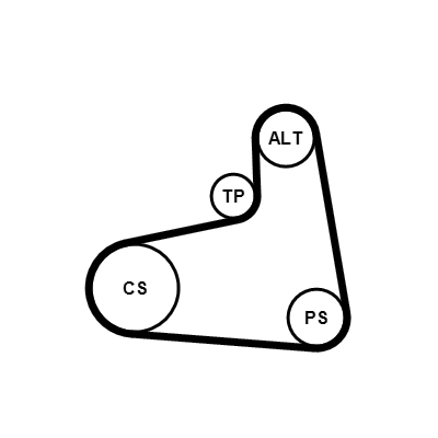 Kit Cinghie Poly-V - 6PK906K1 CONTINENTAL CTAM