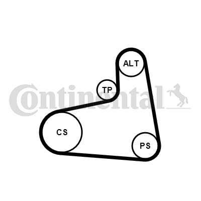 V-Ribbed Belt Set - 6PK906K3 CONTINENTAL CTAM
