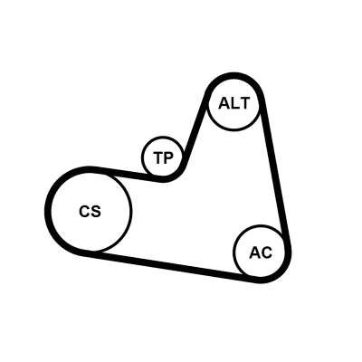 Kit Cinghie Poly-V - 6PK962K1 CONTINENTAL CTAM